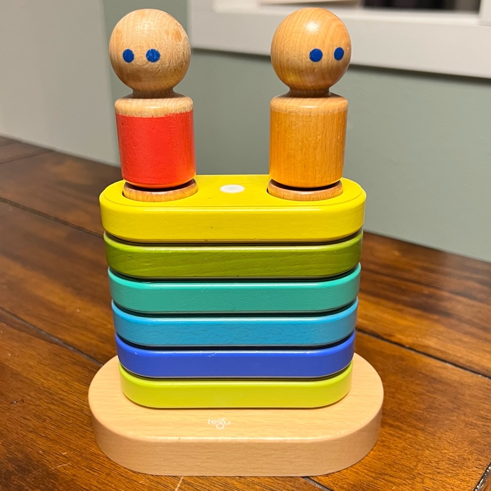 Tegu Magnet Toy